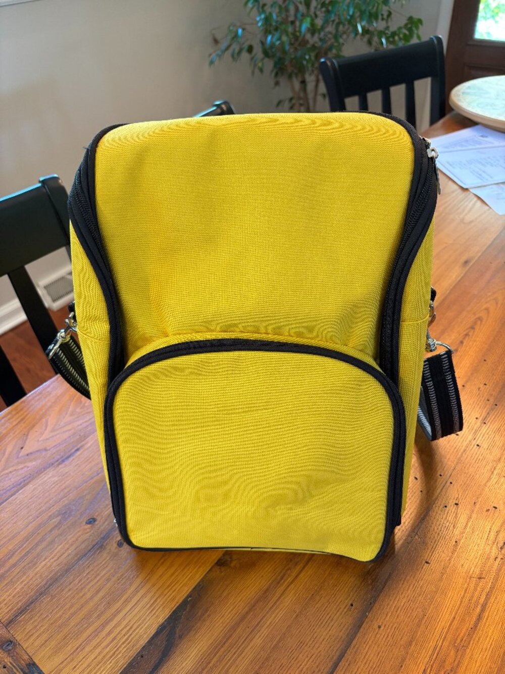 Picnic set  Back Pack